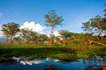 landscape-at-lake-naivasha-in-kenya-Landscape At Lake Naivasha In Kenya