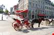 horse-carriafge-in-Horse Carriafge In