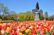 boston-public-garden-Boston Public Garden