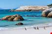 penguins-boulders-beach-nature-reserve-near-cape-town-Penguins Boulders Beach Nature Reserve Near Cape Town