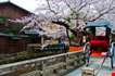 japanese-rickshaw-with-sakura-in-gion-district-kyoto-Japanese Rickshaw With Sakura In Gion District Kyoto