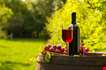 bottle-and-glass-of-red-wine-with-grapes-Bottle and Glass of Red Wine with Grapes